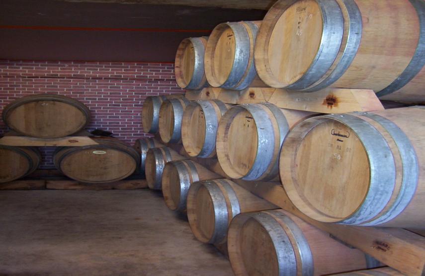 Combien de temps peut-on conserver un vin de Fronton ?